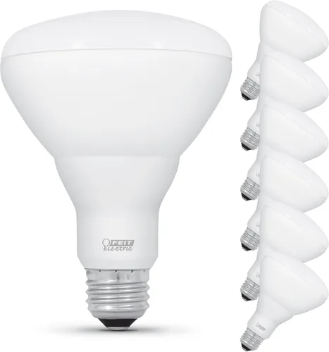 Feit Electric Bombilla LED BR30, equivalente a 65 W, regulable, 650 lúmenes, base estándar E26, luz diurna de 5000 K, 90 CRI, bombillas empotradas,