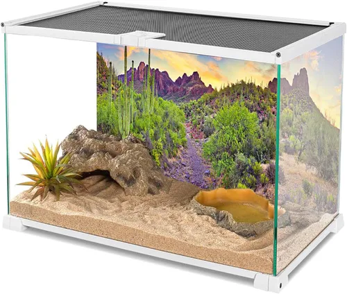 Miniatura 2 de YongFoto Fondo de fotos de poliéster con vista del desierto de cactus, arbusto verde, rocoso, morado, roca salvaje oeste, paisaje natural, fondo