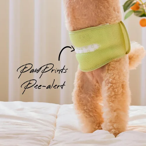 Miniatura 3 de WICKEDPUP Kit de banda para el vientre para perro macho, 50 almohadillas de pañales y 1 envoltura reutilizable para macho (talla 1