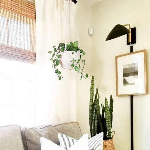 Miniatura 7 de Bouqlife Perchas para plantas de macramé de 43 pulgadas, grandes para macetas de hasta 12 pulgadas, extra largas con ganchos de lazo resistentes