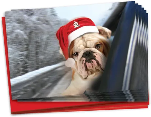 Miniatura 7 de NobleWorks Paquete a granel de 36 tarjetas de felicitación divertidas de Navidad con sobres, tarjetas divertidas en caja para perros y mujeres