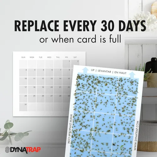 Miniatura 4 de DynaTrap 230093 Tarjetas adhesivas StickyTech de repuesto para Flylight, trampa de enchufe para moscas y otros insectos voladores en interiores