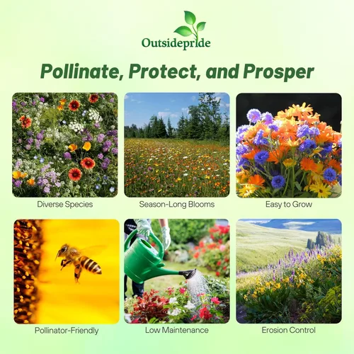 Miniatura 2 de Outsidepride Mezcla de semillas de flores silvestres insectarias - Combinación de 1/4 lb de semillas de flores silvestres perennes de raíces