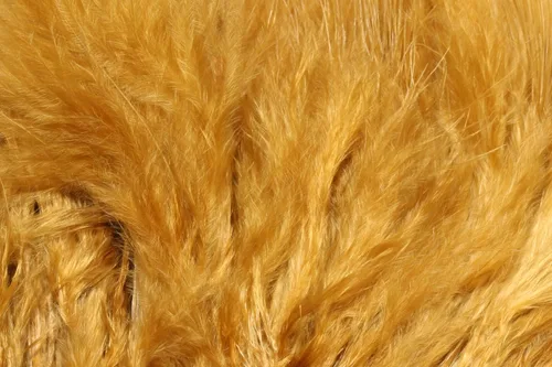 Miniatura 6 de Hareline Fly Tying X-Select Marabou – Premium Marabou Feathers for Fly Tying Streamers, Woolly Buggers & Leeches
