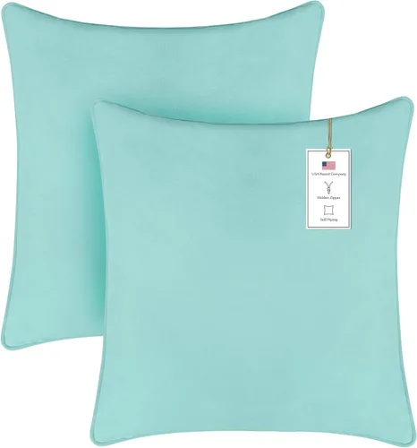 A1HC Juego de 2 lujosas fundas de almohada de terciopelo suave y fino, solo para sofás, camas, colores vibrantes y cremallera oculta. Mejora tu