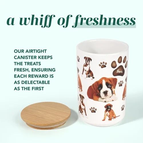 Miniatura 3 de Greenline Goods Juego de recipientes de cerámica prémium para perros – Recipiente hermético para golosinas frescas, tarro de cerámica y recipientes