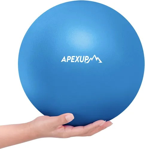 APEXUP Pelota de pilates de 9 pulgadas para yoga, fitness, equilibrio, entrenamiento central, terapia física Rosa