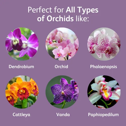Miniatura 4 de Chrysal Gotas de Alimento para Orquídeas — Cuidado de Orquídeas — Un Paquete para un Suministro de un Año — Alimento Floral Concentrado para Todas