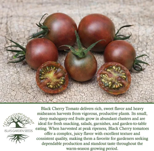 Miniatura 6 de Semillas de tomate cereza negra para plantar, más de 25 semillas de reliquia por paquete, semillas de jardín de Isla (semillas de jardín de Isla)
