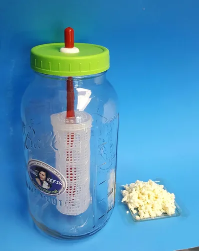Fermentador de kéfir 1.5L/50oz para kéfir casero rápido con DOBLE CANTIDAD DE GRANOS KEFIR para fermentación rápida