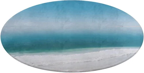 Coral Velvet Round Area Rug 2' Non-Slip TPR Backing Carpet 0.2 Inch Low Pile Dead Sea Salt Flats Door Mat Washable Decorative Floor Rug for Bathroom
