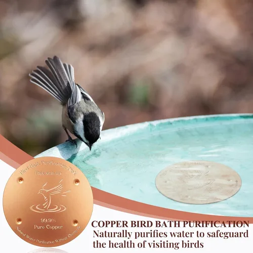Miniatura 6 de MorningRo Disco de cobre para baño de pájaros de 4 pulgadas, 1 unidad de disco de purificación de baño de pájaros reforzado de 0.031 in de grosor