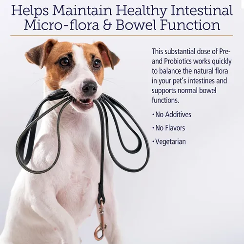Miniatura 4 de Rx Vitamins Rx Biotic - Polvo probiótico para perros y gatos - Apoyo digestivo y probiótico para perros salud intestinal - Probióticos para perros