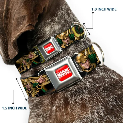 Miniatura 2 de Collar de perro hebilla de cinturón de seguridad Loki Poses Negro Oro Verde 9 a 15 pulgadas 1.0 pulgadas de ancho
