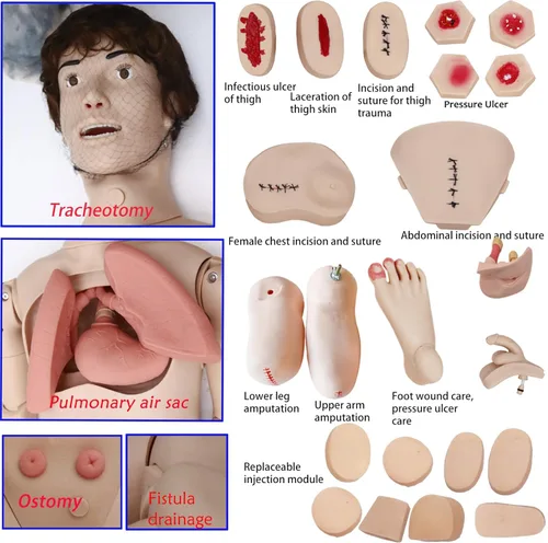 Miniatura 2 de Maniquí de enfermería de trauma, Maniquí médico para el cuidado del paciente para entrenamiento: RCP de 5.74 pies de cuerpo completo con más de 30