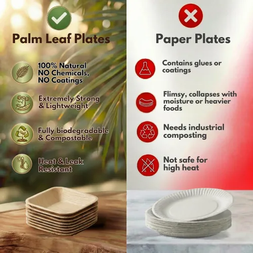 Miniatura 5 de Mini cuencos de hoja de palma de 3 pulgadas para salsas, aderezos para ensaladas, pequeños vasos desechables para salsa de soja, paquete de 50
