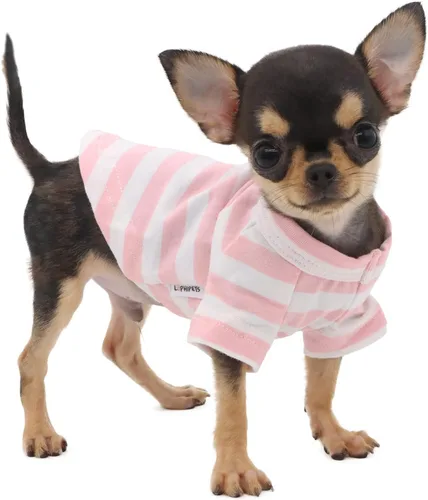 Miniatura 14 de LOPHIPETS Camiseta para Perro 100% Algodón para Perros Pequeños Teacup Chihuahua Yorkie Ropa para Cachorros-Azul/S
