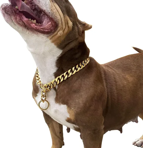 Miniatura 9 de Cierres de langosta fuertes ajustables para perros, collar de titanio, para entrenamiento, caminar, de metal, a prueba de masticación, para perros