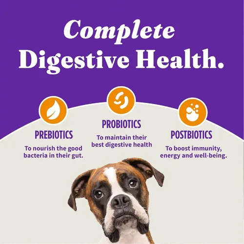 Miniatura 6 de Halo Holistic - Comida para perros con fórmula de pollo y arroz integral sin jaula de cereales saludables, salud digestiva completa, croquetas