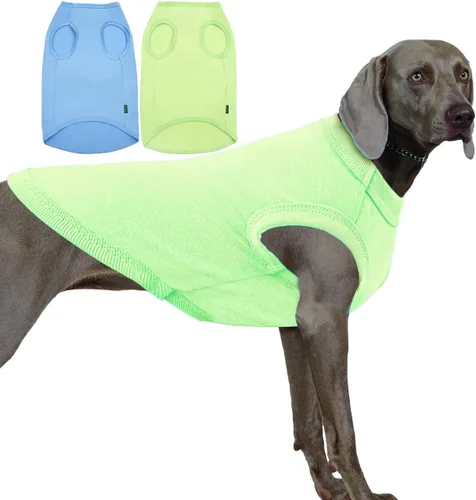 Miniatura 31 de Camisa azul en blanco para perros,Camisetas grandes para perros y niñas,Camiseta lisa de bulldog francés,L azul real Azul y Royal