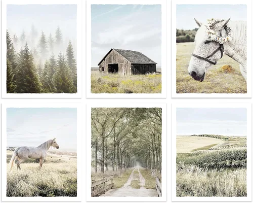 Cuadros de Paisajes Rurales Arte de Pared - Impresiones Rústicas de Granero de Granja Fotografía de Caballo Blanco Bosque Brumoso Pradera Obra de