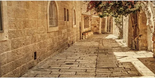 Miniatura 10 de Fondo de piedra antigua de Jerusalén de 5 x 3 pies, fondo de piedra de Jerusalén, flores de primavera, fondo de cueva de sol, para fotografía, telón