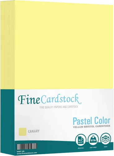 Miniatura 36 de Papel de cartulina de color 67 Vellum Bristol, tamaños: 8.5 x 11 11 x 17 8.5 x 14 1 resma de 250 hojas por paquete. (8.5 x 11 azul)