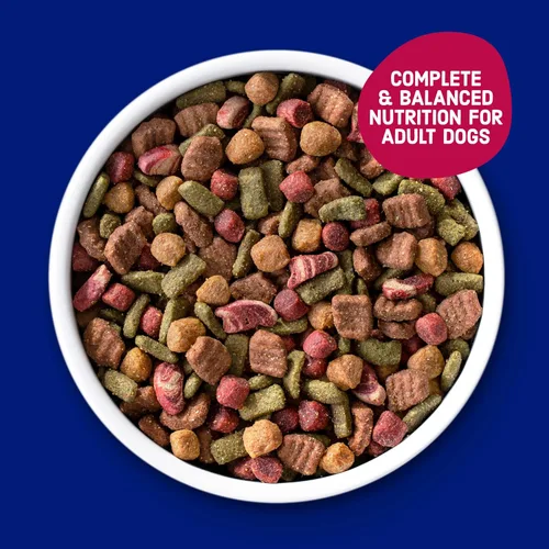 Miniatura 3 de Kibbles 'n Bits Bistro - Alimento seco para perros, carne asada al horno, vegetales de primavera y manzana, sabores para perros adultos, bolsa