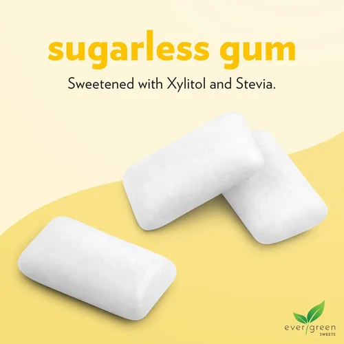 Miniatura 3 de Evergreen Sweets Chicle – Tarro de 100 piezas – Chicle de frutas tropicales naturales hecho con xilitol y stevia – sin azúcar, sin aspartamo y vegano