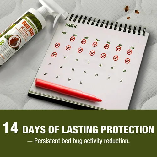 Miniatura 4 de EcoVenger (anteriormente EcoRaider) Mata insectos con rociador remoto de 1 galón – Mata al 100% todas las etapas al contacto, mata insectos