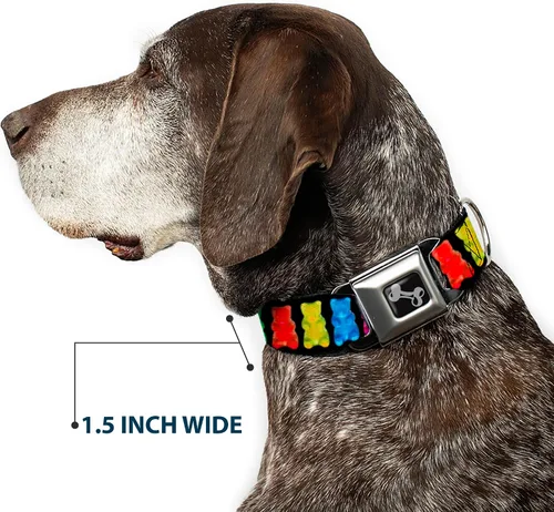 Miniatura 7 de Buckle-Down Collar de perro con hebilla de cinturón de seguridad, osos gomitas, negro/multicolor, 1.5 pulgadas de ancho, se adapta a cuello de 13-18