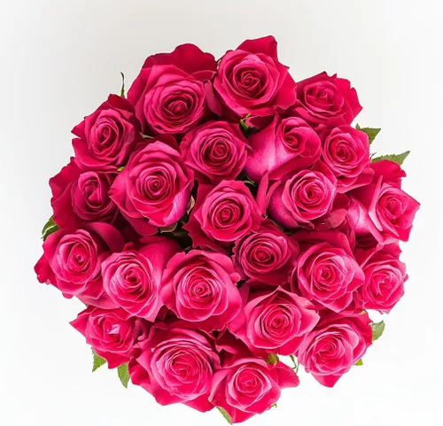 Miniatura 43 de GlobalRose Ramo de 50 rosas surtidas, rosas de origen responsable, flores frescas, ramo fresco de flores seleccionadas a mano para el día