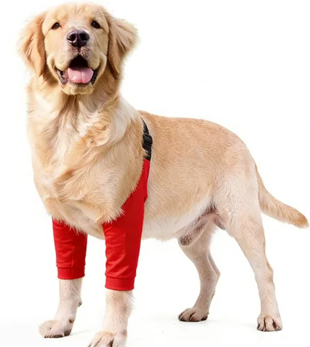 Miniatura 19 de Manga de recuperación para perros con banda elástica para piernas o articulaciones lesionadas, tirantes ajustables para patas delanteras de rosado