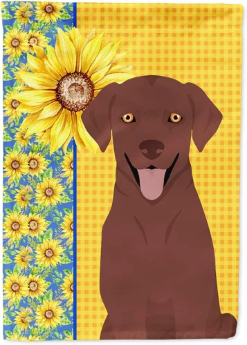Miniatura 213 de Caroline's Treasures WDK5331CHF - Bandera de verano con diseño de girasoles rojos y blancos, manga grande, para porche, para colgar en la pared
