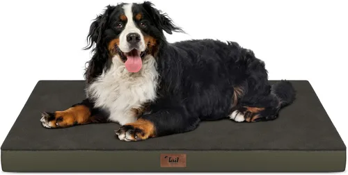 Miniatura 102 de Cama ortopédica de felpa para perros y cachorros medianos, camas impermeables para perros de 30 x 20 pulgadas con funda extraíble lavable, tapete
