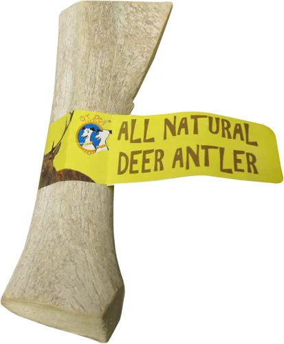 Miniatura 2 de QT Dog Medium Antlers - Masticable para perros 100% natural de larga duración, lleno de proteínas de origen ético y masticadores dentales bajos