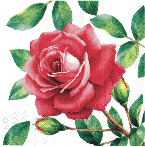 Miniatura 9 de AM Décor - 20 servilletas de papel suaves de 3 capas de papel de seda decoupage -13 x 13 pulgadas (desplegadas) (Rosalia, 13 x 13 pulgadas