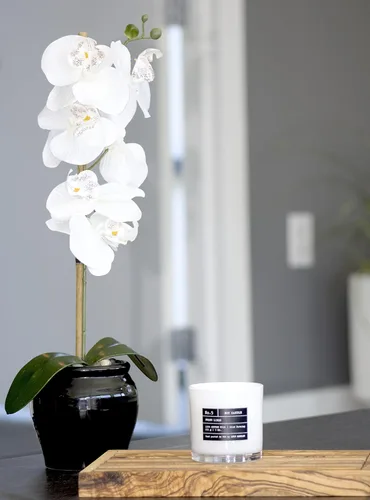 Miniatura 5 de Lulu Candles: Piña Evergreen (9 onzas), Velas de alta calidad altamente perfumadas en caja de regalo para el hogar y la oficina, vela en tarro