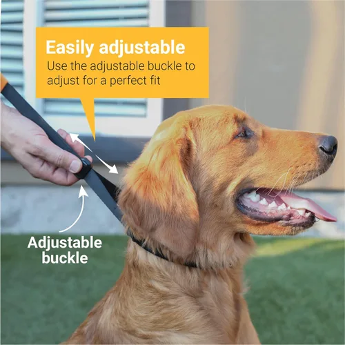 Miniatura 3 de SVD.PET Collar de punta para perro para entrenamiento sin tirones, hebilla de liberación rápida ajustable para perros pequeños, medianos y grandes
