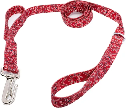 Miniatura 20 de Country Brook Design® Correa para perro Native Arizona de 1 pulgada - 6 pies Arizona nativa