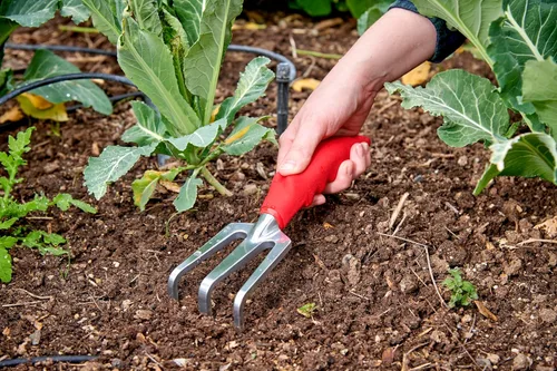 Miniatura 2 de Corona CT 3030I Comfort Cultivador