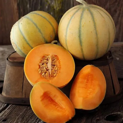 Charentais Semillas de melón – Paquete de 0.04 oz ~ 30 Semillas – Sin OMG, Heirloom, Semillas de jardinería de verduras y frutas polinizadas abiertas
