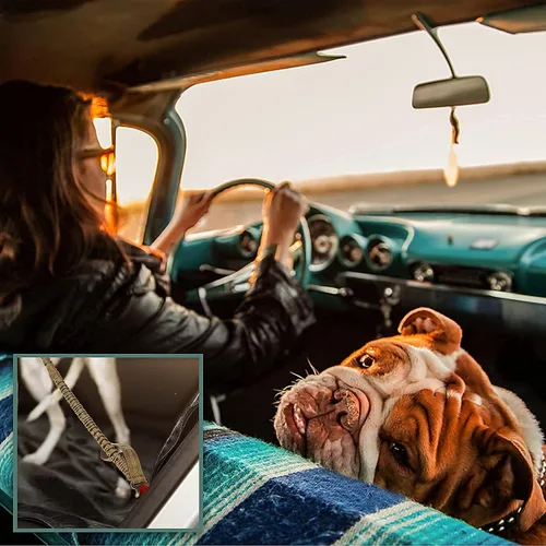 Miniatura 7 de BUMBIN Arnés para perros medianos sin tirones, arnés táctico para perro, con asa, arnés de chaleco ajustable para perro, correa elástica de 6 pies