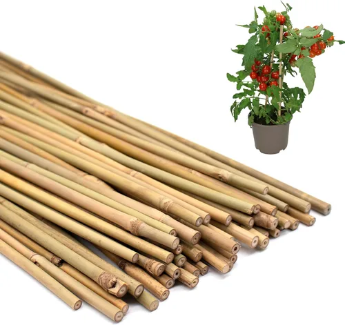50 estacas para plantas, estacas de bambú natural, estacas de jardín para plantas de interior y exterior, palos POLIUMB para tomates, frijoles,