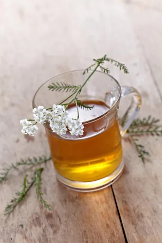 Miniatura 3 de Yarrow White 10,000 Seeds (Achillea millefolium) - Heirloom - Polinizadas abiertas - Semillas de flores nativas para plantar - Atrae polinizadores
