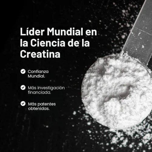Miniatura 3 de MuscleTech Platinum - Monohidrato de creatina en polvo, micronizada para recuperación muscular y aumentar la musculatura en hombres o mujeres