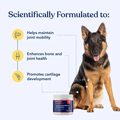 Miniatura 2 de Honest Paws Glucosamina para perros - Suplemento en polvo para articulaciones y movilidad con mejillón de labios verdes, aceite de pescado y MSM