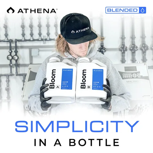 Miniatura 7 de Athena Blended Bloom A&B Fertilizante líquido de floración de 2 partes para hidroponía y suelo Alimento vegetal Bloom Booster NPK A 4-0-5 B