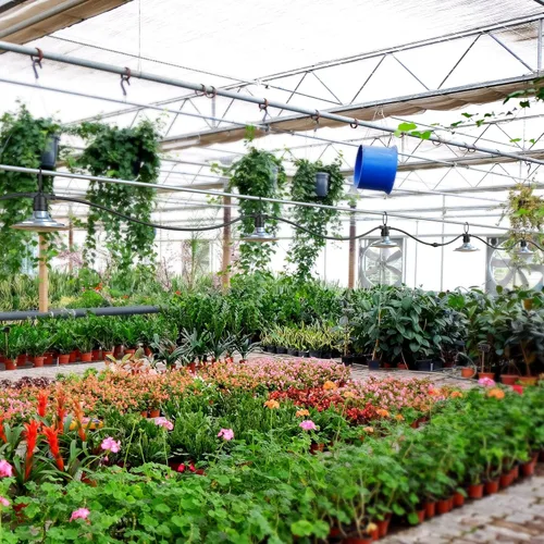 Miniatura 6 de 6 luces LED de crecimiento de plantas con temporizador, cadena de luz de cultivo impermeable para invernadero, espectro completo para sembrar flores