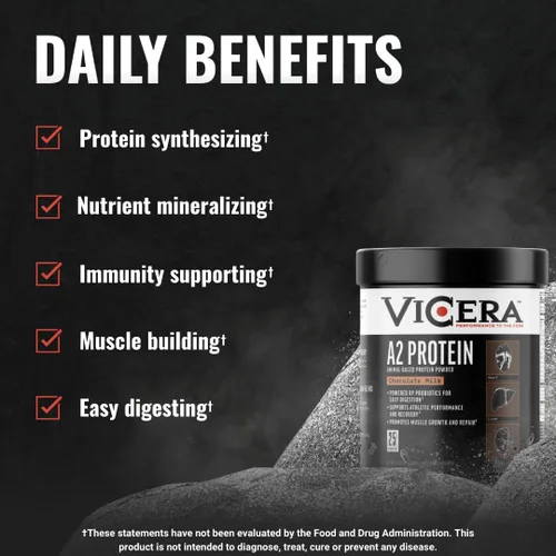 Miniatura 7 de VICERA A2 Polvo de Proteína, Leche de Chocolate, 25 G de Proteína por Porción, Mezcla Orgánica de A2/A2 de Suero y Caseína con Probióticos y Sal